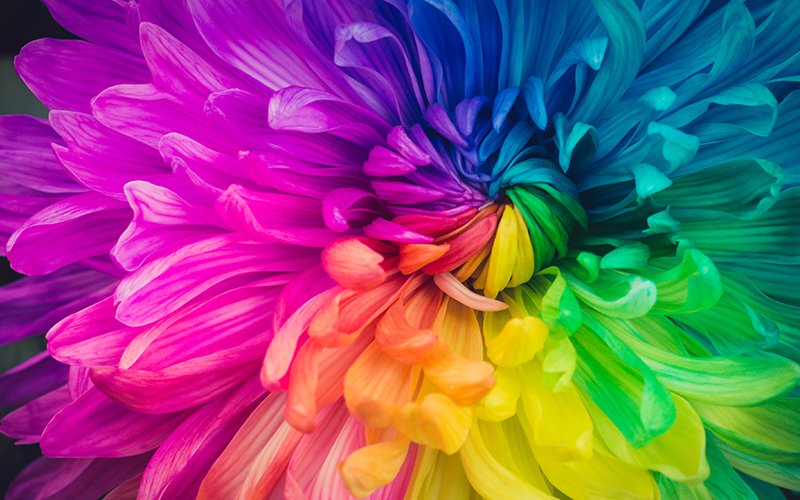 EAN 8715946689005 - Epson EF-11 imagen 25