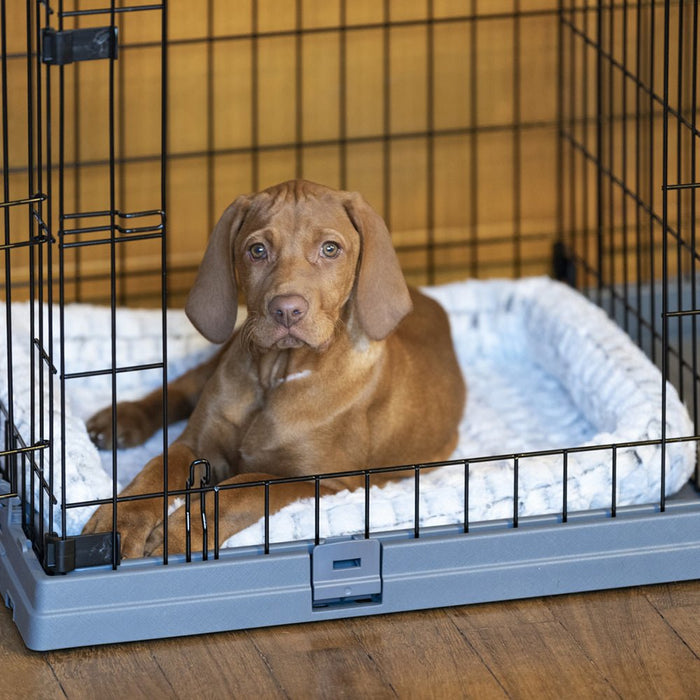 EAN 8010690185682 - Ferplast Superior Transportín para mascotas imagen 3