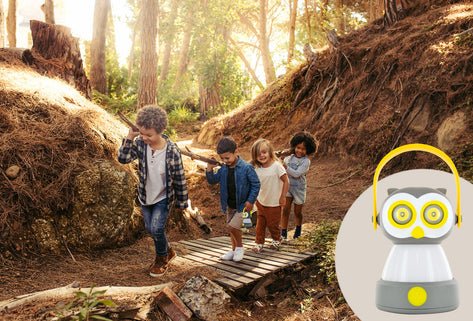 EAN 4004005035223 - Schwaiger CALE100 511 linterna de camping Linterna de camping a pilas imagen 7