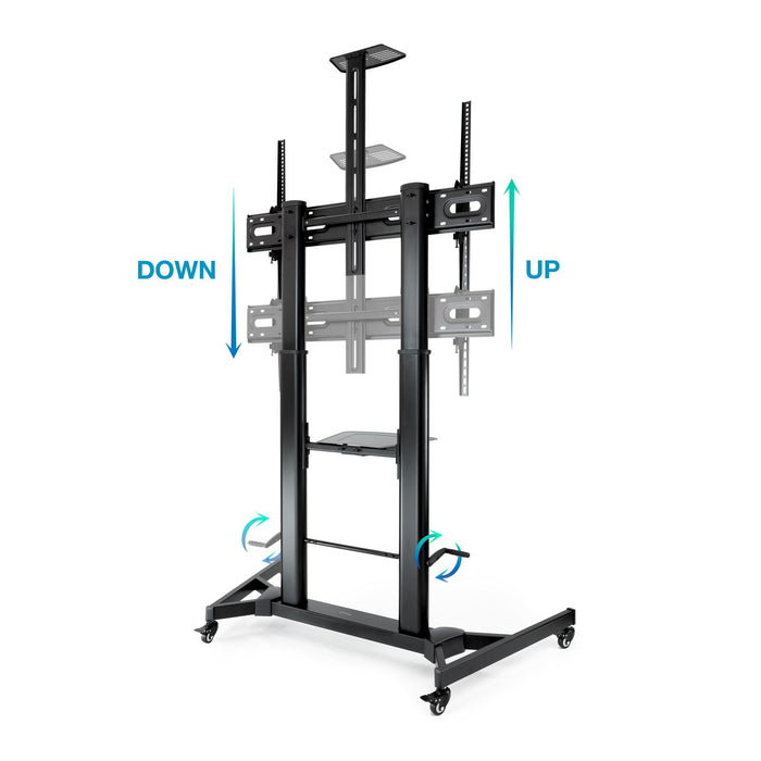 EAN 8433281012233 - TooQ ZEUS 2,54 m (100") Negro imagen 4