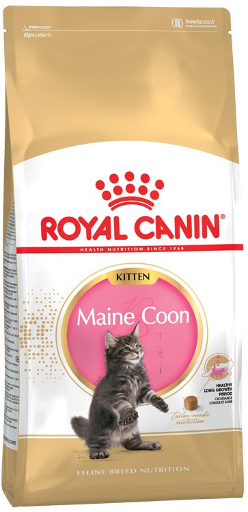 EAN 3182550816502 - Royal Canin Maine Coon Kitten alimento seco para gatos 2 kg Gatito Aves imagen 1