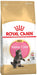 EAN 3182550816502 - Royal Canin Maine Coon Kitten alimento seco para gatos 2 kg Gatito Aves imagen 1