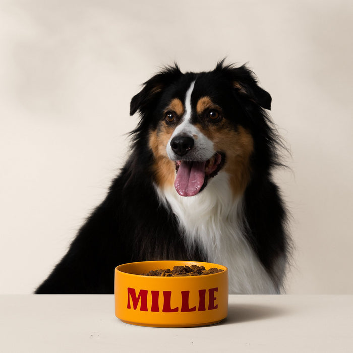 EAN 93573686290 - Cricut Joy Xtra Electrónico imagen 5