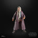 EAN 5010996274908 - Star Wars The Black Series Jod Na Nawood imagen 10