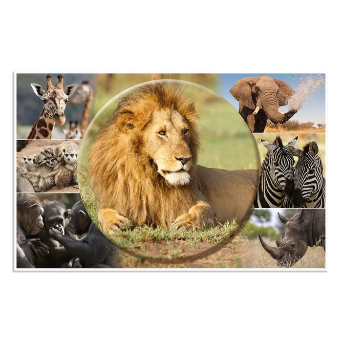 EAN 4008705936347 - HERMA Schreibunterlage Afrika Tiere protector de escritorio Cartón Multicolor imagen 2