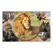 EAN 4008705936347 - HERMA Schreibunterlage Afrika Tiere protector de escritorio Cartón Multicolor imagen 2