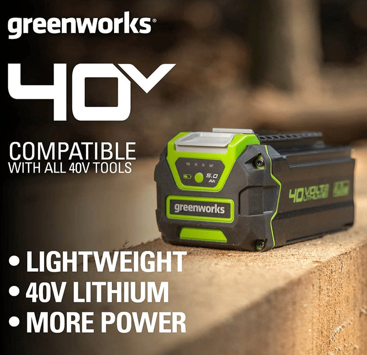 EAN 6952909053196 - Greenworks 2927207 cargador y batería cargable imagen 2