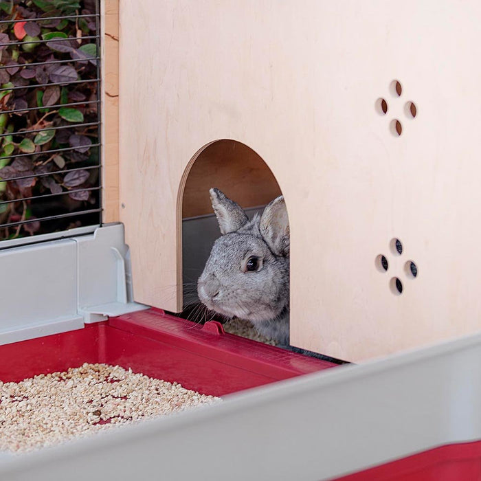 EAN 8010690142883 - Ferplast Krolik 140 Plus Rabit Gris, Rojo imagen 5