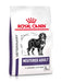 EAN 3182550925105 - Royal Canin Neutered Adult Large Dog 13 kg Adulto imagen 1
