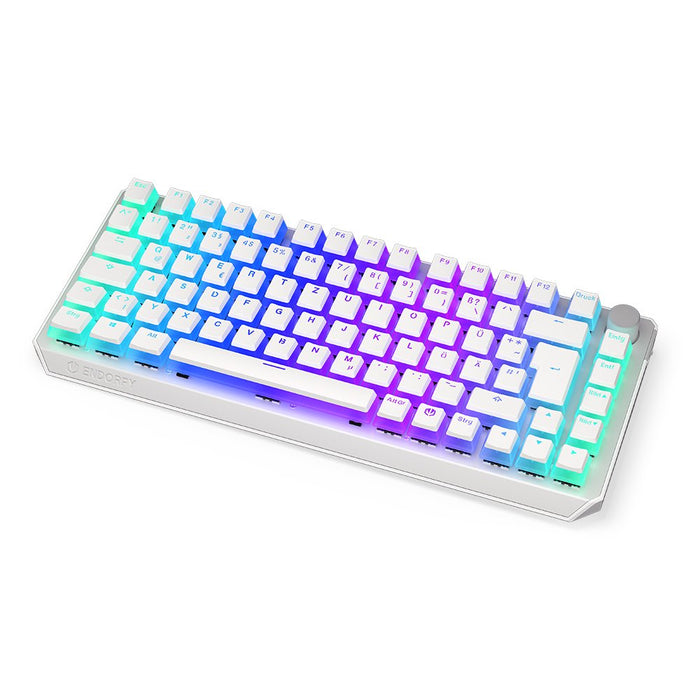 EAN 5903018666860 - ENDORFY Thock 75% teclado Juego RF inalámbrica + USB QWERTZ Alemán Blanco imagen 18
