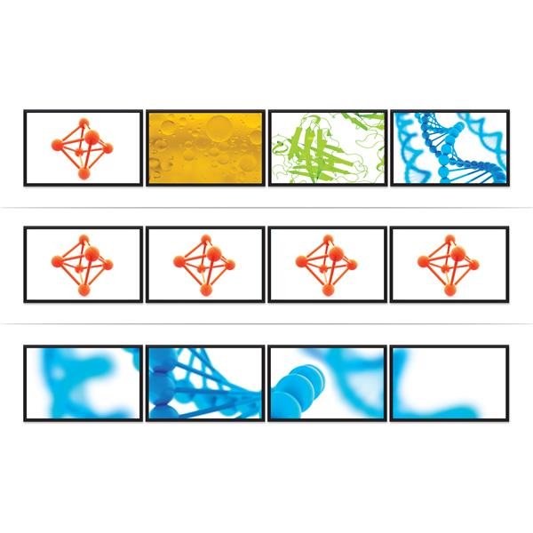 EAN 0065030860581 - StarTech.com MSTDP124DP divisor de video imagen 6