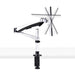 EAN 0065030902045 - StarTech.com 1MP1ACG-MONITOR-ARM soporte para monitor 76,2 cm (30") Negro, Plata imagen 9