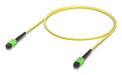 EAN 0810084697863 - Ubiquiti UACC-OFC-SA-MPMP-1M Cable de fibra óptica e InfiniBand Amarillo imagen 1