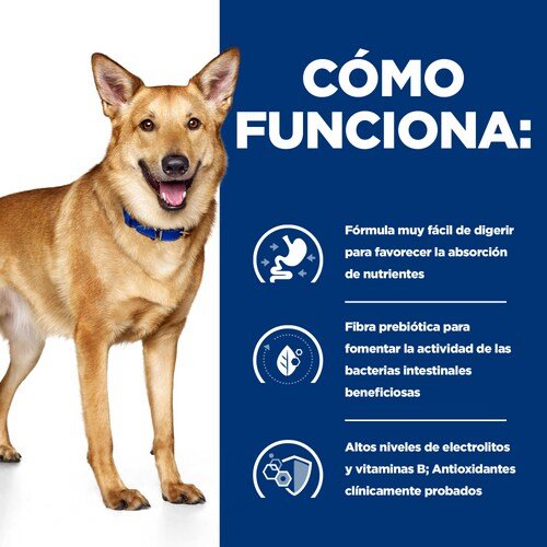 EAN 52742039855 - Hills 606448 alimento húmedo para perros Pollo, Ternera, Cerdo Universal 354 g imagen 6