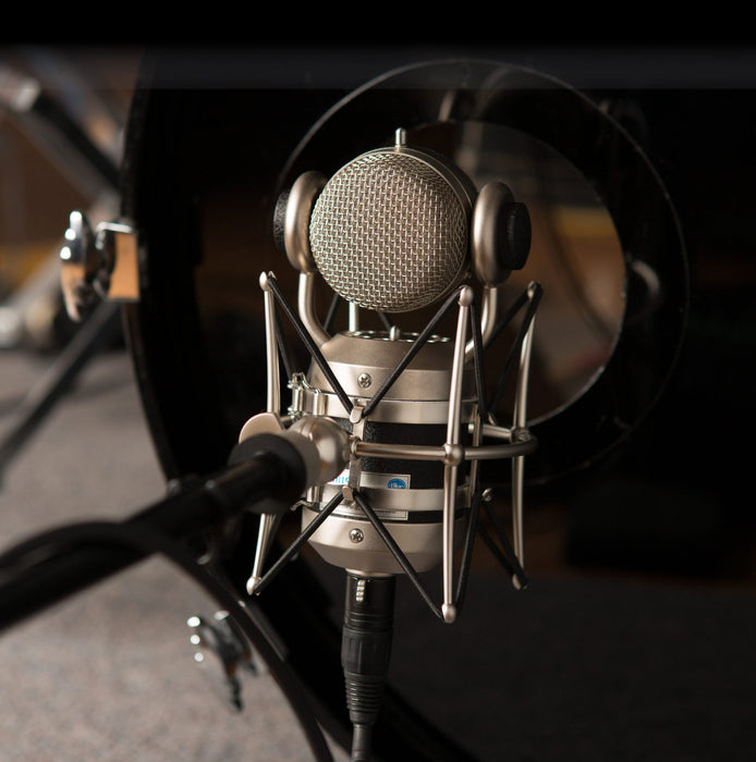 EAN 5099206084872 - Blue Microphones mouse Negro Micrófono de estudio imagen 11