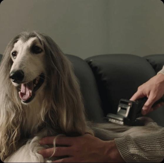 EAN 6976233677231 - Dreame Z30 Aspiradora escoba 2 en 1 Batería Secar HEPA Sin bolsa 0,6 L Negro 3,2 Ah imagen 11