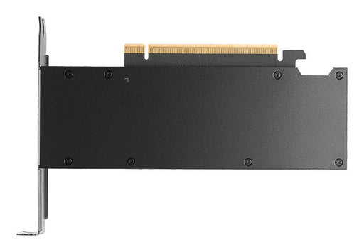 EAN 3536403404147 - PNY RTX PRO 2000 Blackwell NVIDIA 16 GB GDDR7 imagen 2