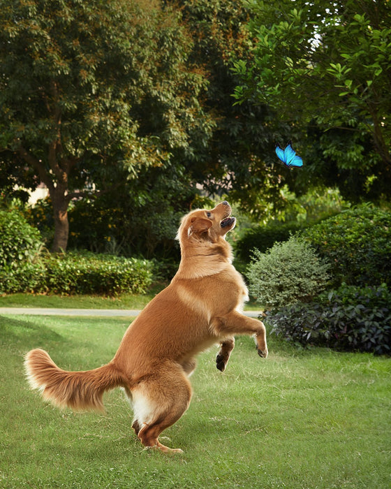 EAN 0194644052614 - Eufy Solocam S40 Caja Cámara de seguridad IP Interior y exterior 2048 x 1080 Pixeles Pared imagen 8