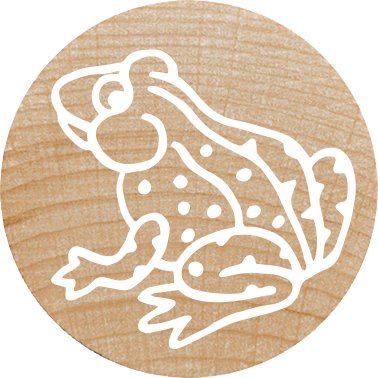 EAN 9004362534488 - Colop 165225 imagen 5