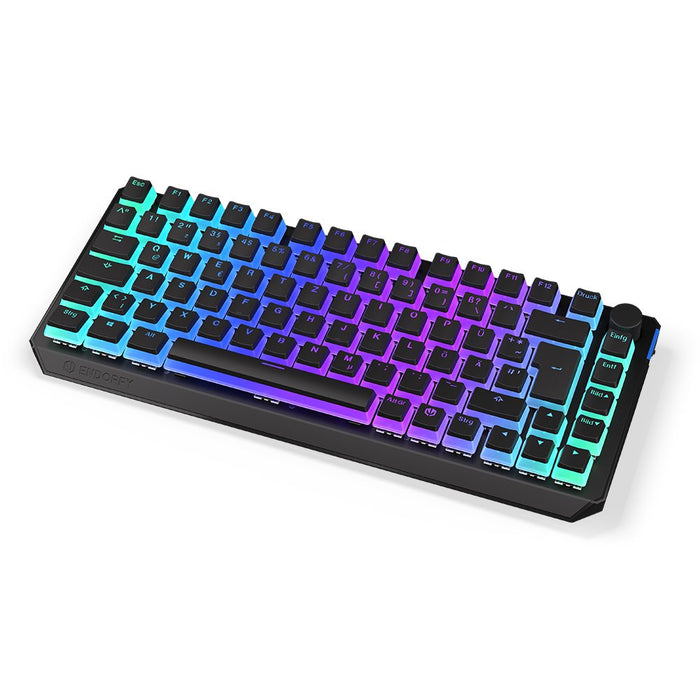 EAN 5903018666853 - ENDORFY Thock 75% teclado Juego RF inalámbrica + USB QWERTZ Alemán Negro imagen 18