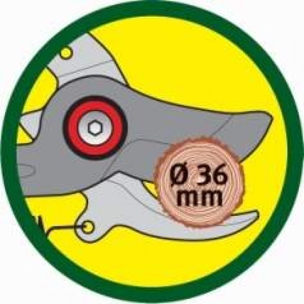 EAN 4008423878578 - WOLF-Garten RR-VM imagen 4