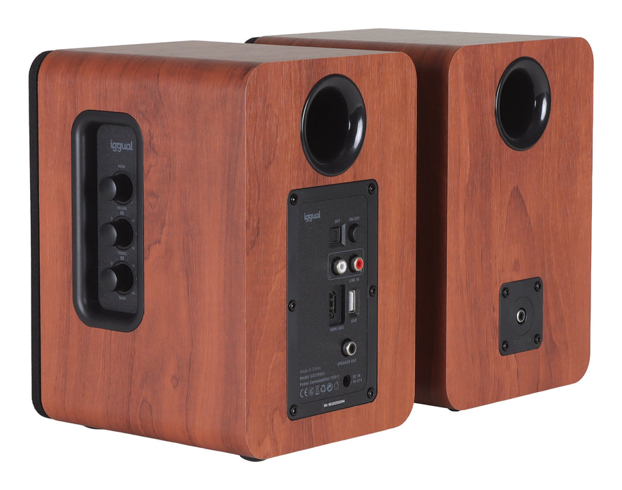 EAN 8435364319963 - iggual IGG319963 altavoz Madera Inalámbrico y alámbrico 50 W imagen 3