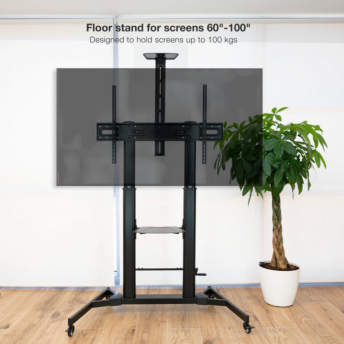 EAN 8433281012233 - TooQ ZEUS 2,54 m (100") Negro imagen 6