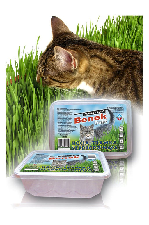 EAN 5905397010319 - Certech 10319 semilla de hierba para mascota Gato imagen 1