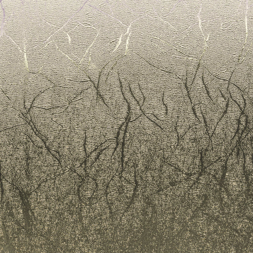 EAN 0093573728570 - Cricut 2007742 vinilo de transferencia térmica Rollo de vinilo de termotransferencia imagen 2