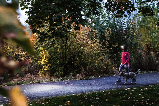 EAN 4058205031738 - Ledlenser HF4R Core Negro, Rojo Linterna con cinta para cabeza LED imagen 2