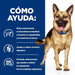 EAN 52742026855 - Hills 605996 alimento húmedo para perros Pollo, Ternera Universal 10 kg imagen 3