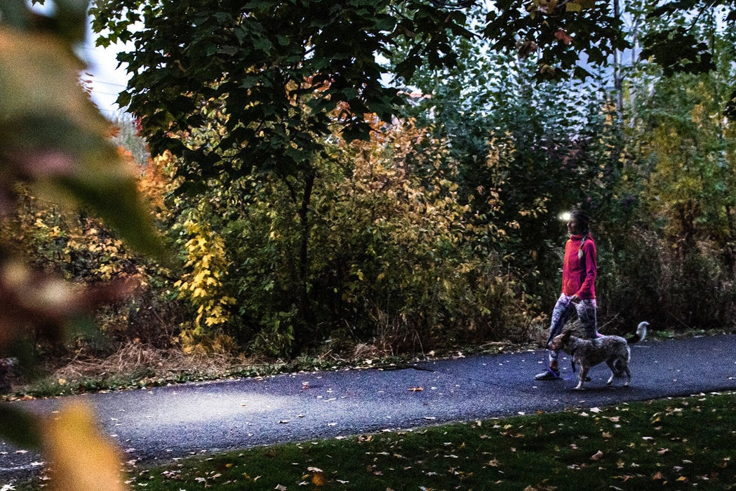 EAN 4058205031684 - Ledlenser HF4R Core Negro Linterna con cinta para cabeza LED imagen 8