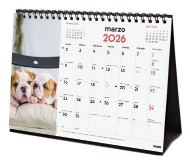 EAN 8422952402275 - Finocam 780323726 calendario Mesa imagen 4