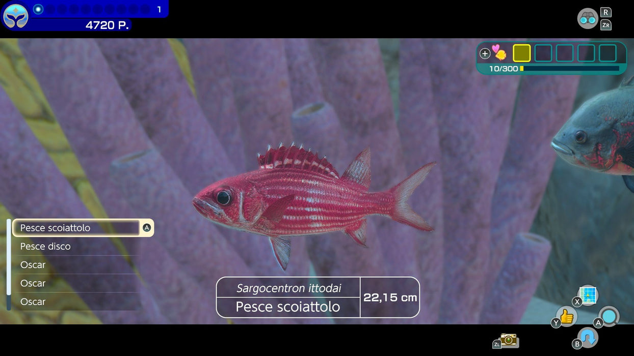 EAN 0045496511869 - Nintendo Endless Ocean Luminous (Switch) Estándar Plurilingüe Nintendo Switch imagen 6