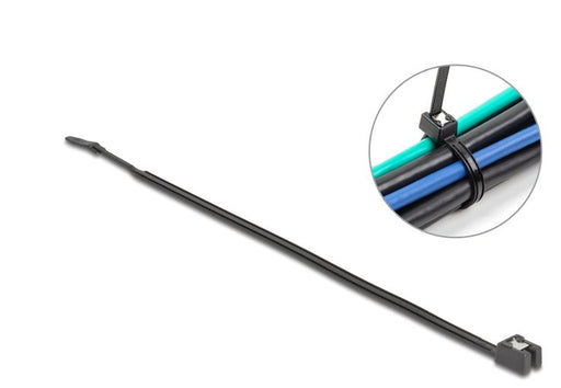 EAN 4043619194698 - DeLOCK 19469 presilla Brida de entrada paralela Plástico 50 pieza(s) imagen 1