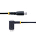 EAN 65030895835 - StarTech.com R2CCR-30C-USB-CABLE cable USB 0,3 m USB B Negro imagen 4