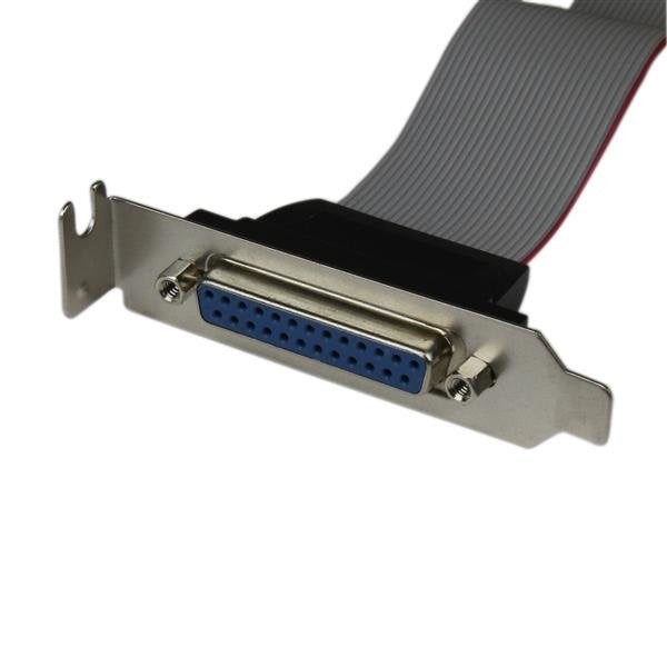 EAN 0065030848657 - StarTech.com DB25 (F) - IDC26 DB-25 25 pin D-Sub IDC 26 pin Motherboard Header Gris imagen 2