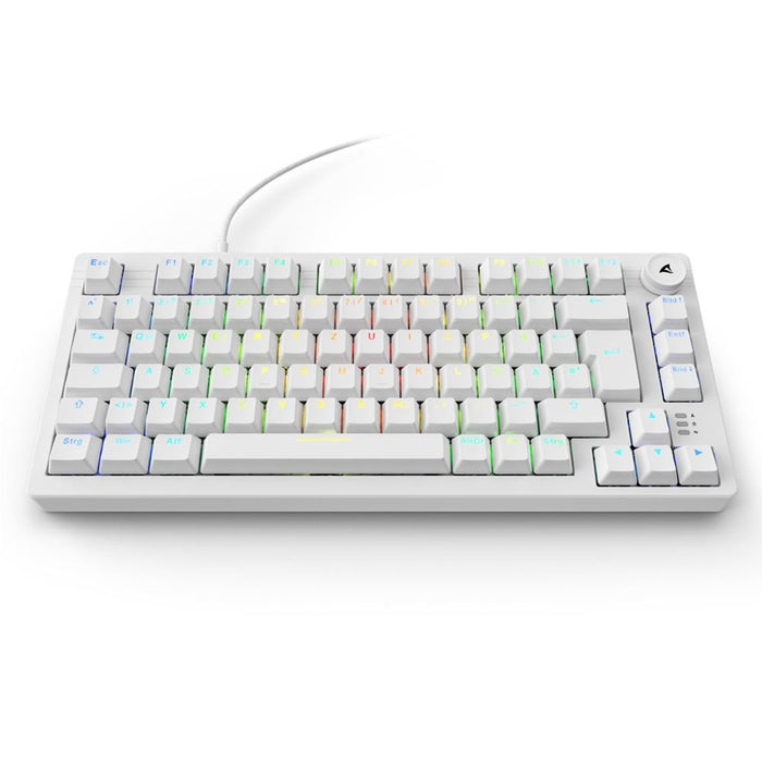 EAN 4044951041817 - Sharkoon SGK25 teclado Hogar USB QWERTZ Alemán Blanco imagen 7