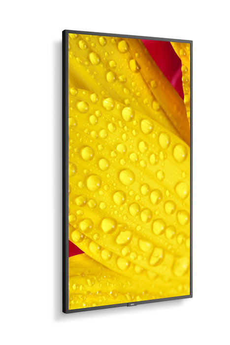 EAN 5028695127470 - NEC MultiSync M501-2 Diseño de quiosco 127 cm (50") LED 4K Ultra HD Negro Procesador incorporado imagen 12