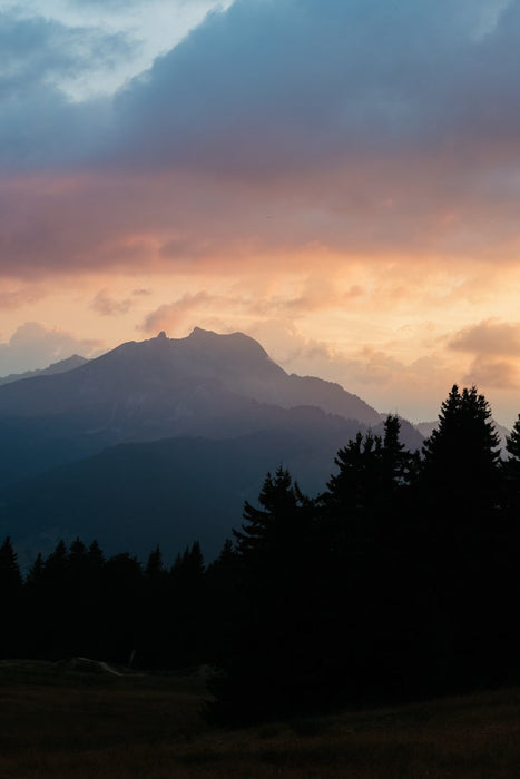 EAN 4549292200515 - Canon EOS R6 Mark II Cuerpo MILC 24,2 MP CMOS 6000 x 4000 Pixeles Negro imagen 9