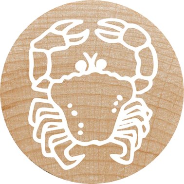 EAN 9004362534471 - Colop 165224 imagen 7