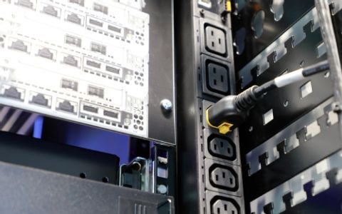 EAN 4028177947788 - Rittal 7979.238 unidad de distribución de energía (PDU) 30 salidas AC Gris imagen 4