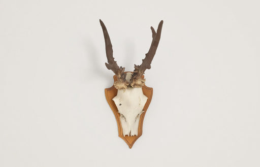 EAN 4006209731215 - Fischer 73121 kit de montaje Gris imagen 2