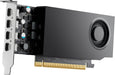 EAN 0198122174188 - HP NVIDIA PH x4xx 3mDP Graphics imagen 6