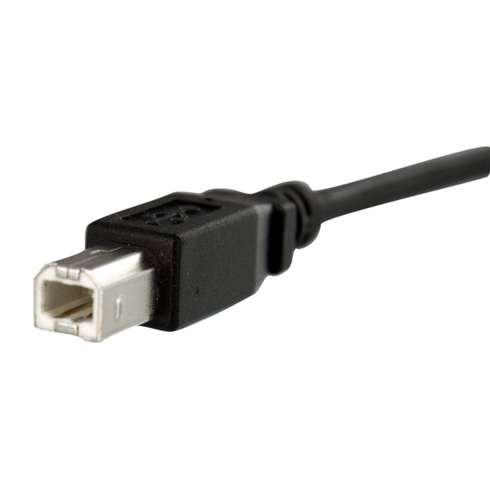 EAN 0065030835411 - StarTech.com USBPNLBFBM1 cable USB USB 2.0 0,3 m Negro imagen 3