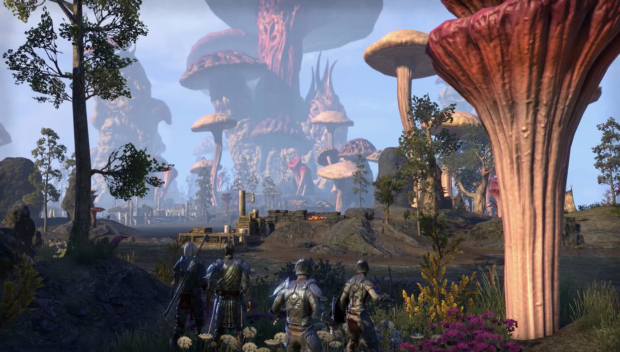 EAN 5055856414049 - Bethesda The Elder Scrolls Online : Morrowind Estándar Alemán, Inglés, Francés PlayStation 4 imagen 4