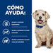 EAN 52742043128 - Hills 605859 alimento húmedo para perros Pollo, Ternera Universal 10 kg imagen 3