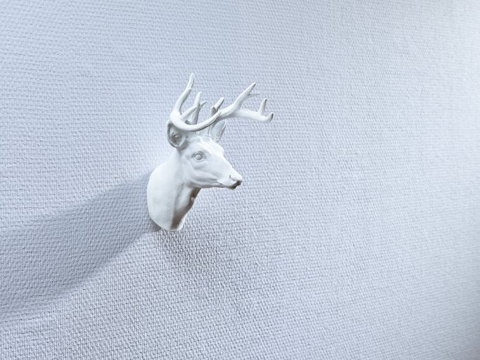 EAN 4042448340474 - TESA 77773-00000 gancho para almacenamiento Interior Gancho universal Blanco 2 pieza(s) imagen 24