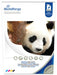 EAN 4260664873006 - MediaRange MRINK119 papel fotográfico A4 Blanco De alto brillo imagen 1