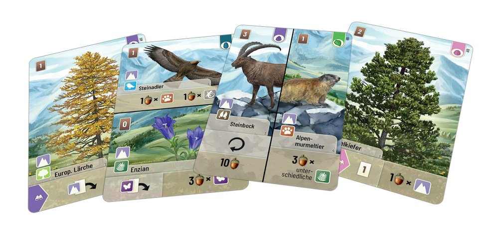 EAN 4260402311852 - Lookout Games Mischwald Alpin 60 min Expansión de juego de cartas imagen 4